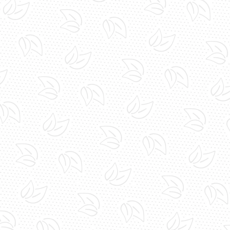 Полотенца бумажные Z-сложения двухслойные Protissue Premium 24 х 22,5 см, целлюлоза, 150 л